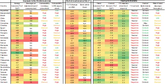 Selective Shock, Structural Risk: Poland at the Core of the Emerging Market Energy Divide 12 EMERGING MARKET EXPOSURE, MARKET REACTIONS AND COPING MECHANISMS